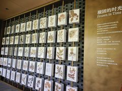 -云溪植物园