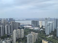 -悦厅·下午茶(杭州柏悦酒店)
