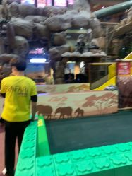 -卡通尼·Safari非洲探索乐园·生日会(金桥国际商业广场店)