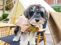 -一尺花园(安和花园店)