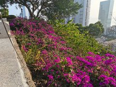 -鸿山公园