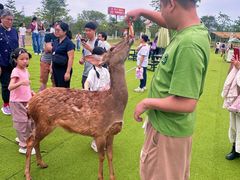 -盈香心动乐园