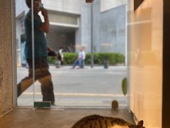 -MQ COFFEE STAND明谦(新洲店)