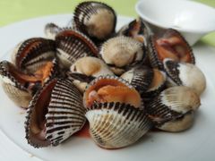 过水毛蚶-高佳庄·舟山海鲜(海景旗舰店)