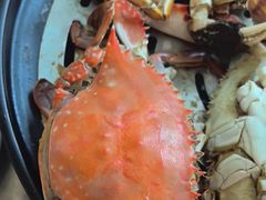 -半岛听涛蒸汽海鲜自助(K11店)