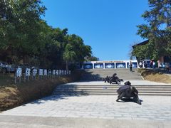 -广东惠东海龟国家级自然保护区