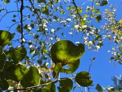 -鹫峰国家森林公园