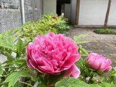 -惠山古镇·寄畅园