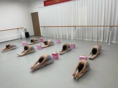 -中央芭蕾舞团·中芭艺蕾(酒仙桥明星校区)
