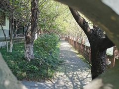-望江楼公园