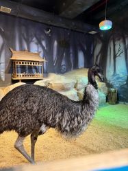 -酷嗒动物文化乐园(cutezoo西溪乐天城店)