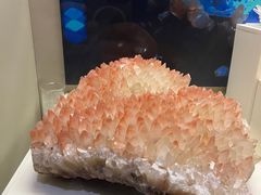 -天津自然博物馆