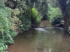 -重庆彩云湖湿地公园