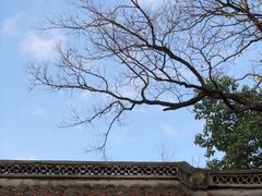 -上海佘山国家森林公园天马山园