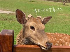 -良渚古城遗址公园