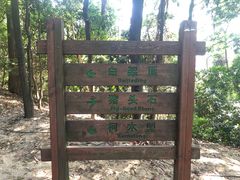 -火炉山森林公园
