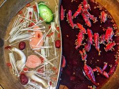 红白鸳鸯-小龙坎火锅(总店)