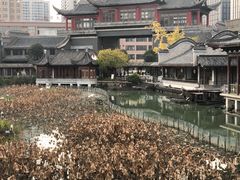 -龙潭水乡