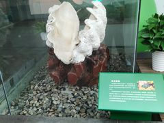 -中国湿地博物馆