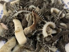 -老爆肚满五香烧牛羊肉