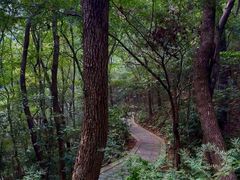 -宁波市保国寺古建筑博物馆