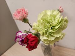 -嘉定紫藤园