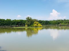 -大湾区中央湿地公园