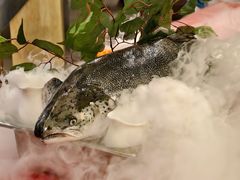-索菲特酒店·海鲜自助 ·聚餐厅