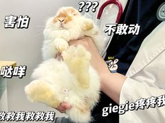-雨林宠物医院·异宠专科(浦东分院)