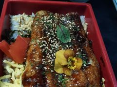-鳗鱼家·深夜食堂(军博店)