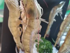 -马家斑.鲜鱼火锅(松湖万科店)