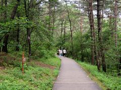 -帽儿山国家森林公园