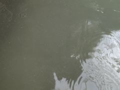 -陆地游轮吉林神农温泉