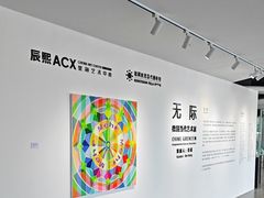 -辰熙ACX星海艺术中心