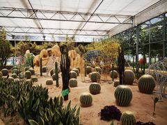 -南宫五洲植物乐园