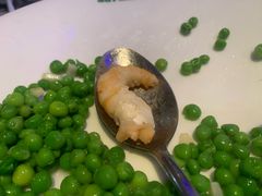 -新白鹿餐厅(百联中环店)