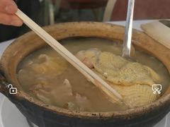 雞煲翅-新陶陶酒家