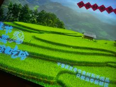 -杨厨的田园饭店(长城路店)