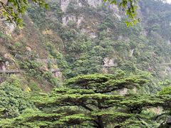 -萍乡武功山风景名胜区
