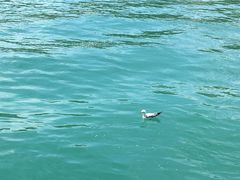 -尼亚加拉瀑布州立公园
