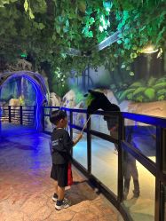 -酷嗒动物文化乐园(cutezoo西溪乐天城店)