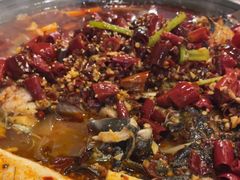 -锦尚阁烤鱼(望京新荟城店)