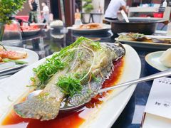 清蒸老虎斑-达叔香味海鲜(海棠68环球美食街店)