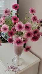 -兰瑜伽·普拉提