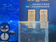 -成都浩海立方海洋公园