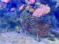 -大连老虎滩海洋公园