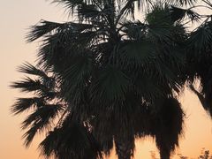 -大小河街
