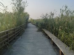 -绿堤公园