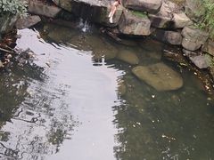 -杭州半山国家森林公园