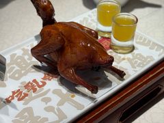 -大鸽饭(岗顶店)